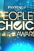 Primary photo for The 1st Annual People's Choice Awards