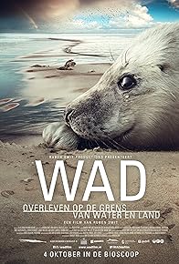 Primary photo for Wad: Overleven op de Grens van Water en Land