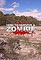 How to Survive a Zombie Attack's primary photo