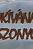 Primary photo for Nemkívánatos viszonyok Primary photo for Nemkívánatos viszonyok