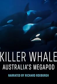 Primary photo for Killer Whale: Australia's Megapod