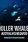 Killer Whale: Australia's Megapod's primary photo