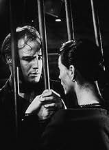 पोस्टर देखें