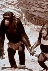 Primary photo for The Surfin' Spy/The Missing Link