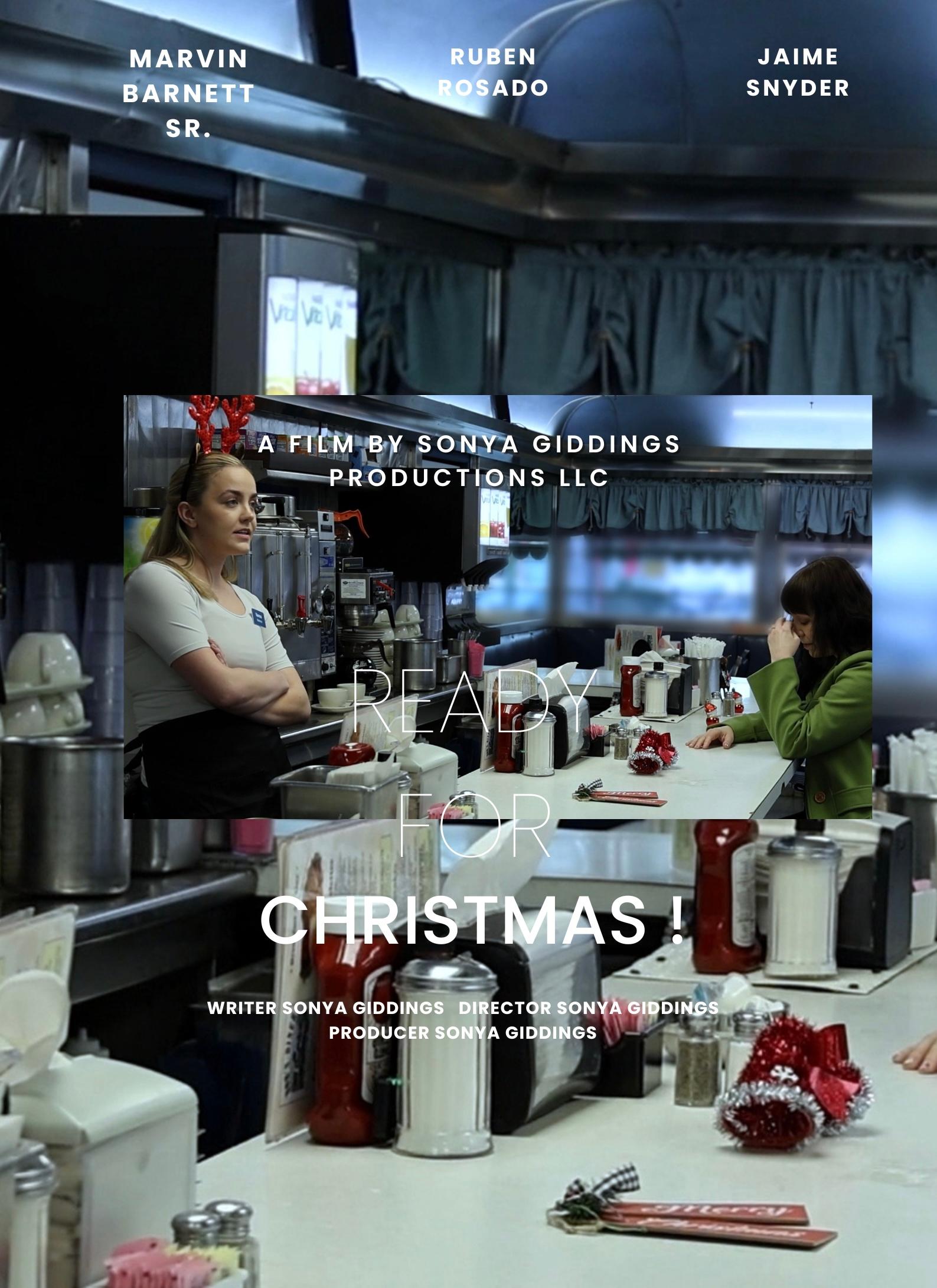 Ready for Christmas !