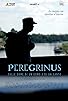 Primary photo for Peregrinus