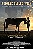 Primary photo for A Horse Called Wish