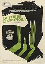 पोस्टर देखें