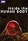 Inside the Human Body's primary photo