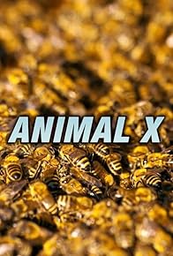 Primary photo for Animal X