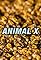 Animal X's primary photo