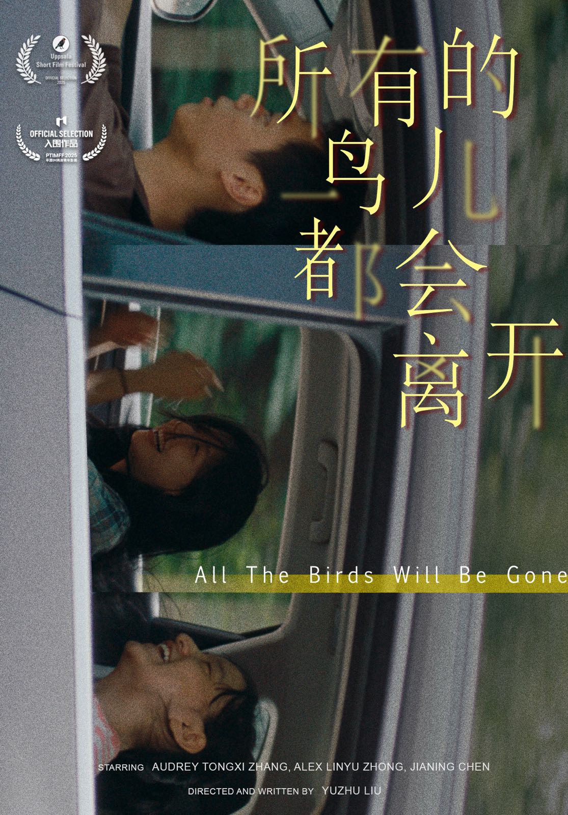 All the Birds Will Be Gone