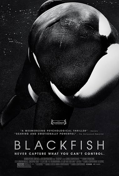 Blackfish 2013