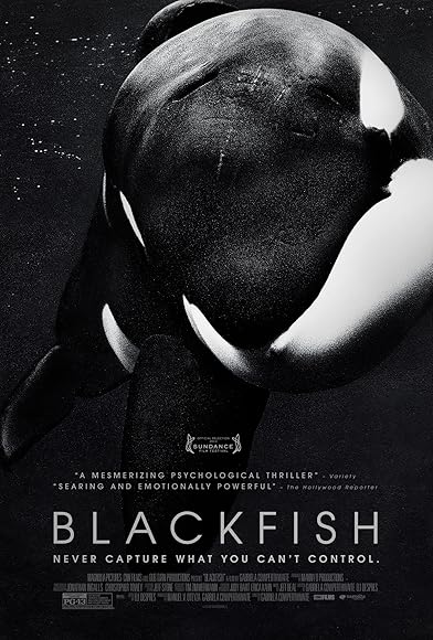 Primary photo for Blackfish Primary photo for Blackfish
