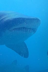 Primary photo for Saving Sharks