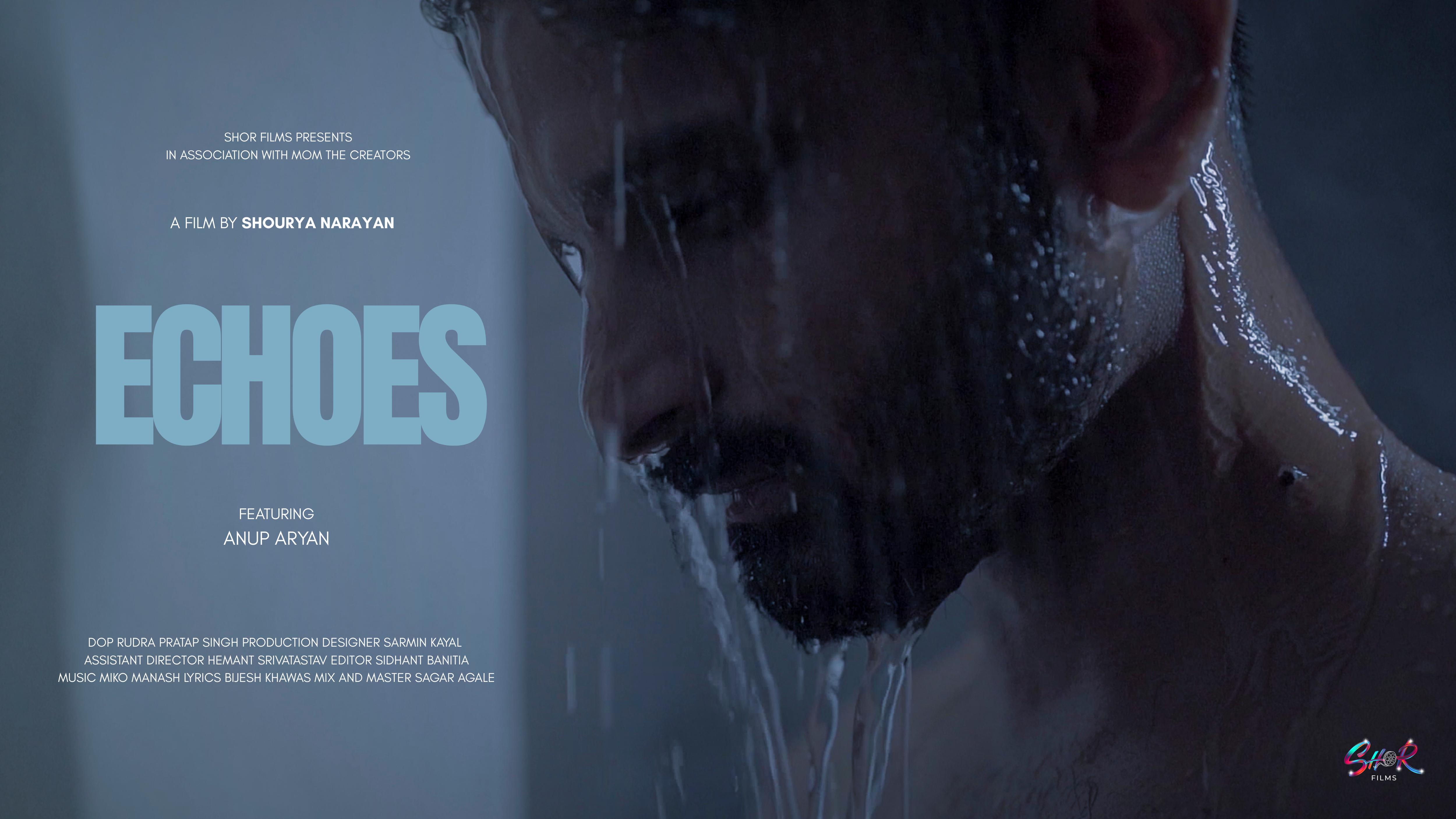 Echoes - The silence within