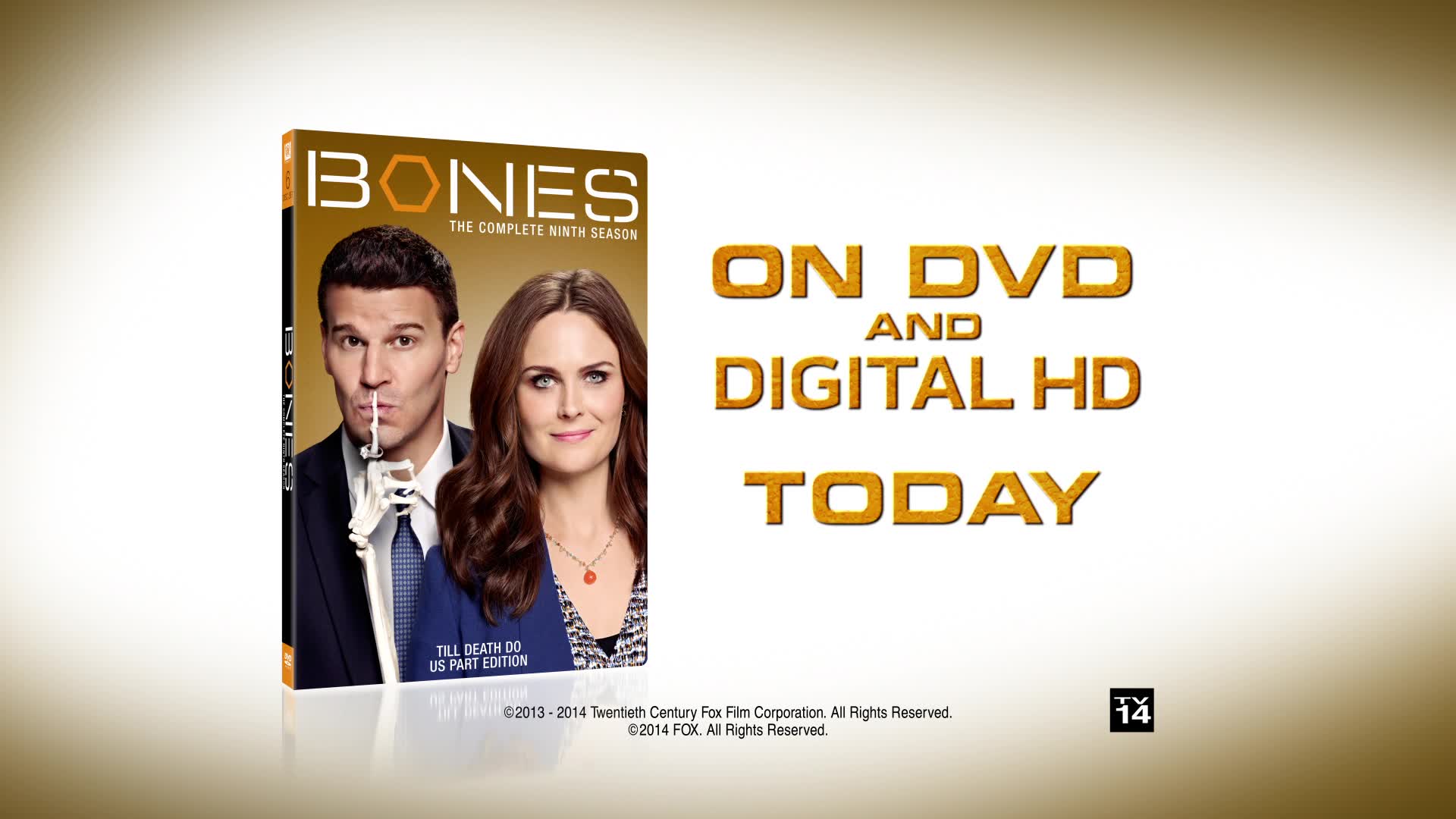 Bones: The Unsung Heroes of Your Everyday Health