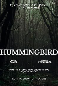Primary photo for Hummingbird