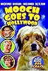 Primary photo for Speaking of Animals No. Y7-1: Dog Crazy Primary photo for Speaking of Animals No. Y7-1: Dog Crazy