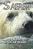 Primary photo for Polar Bears Primary photo for Polar Bears
