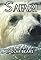 Polar Bears's primary photo