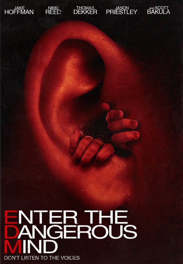 Poster of Enter The Dangerous Mind