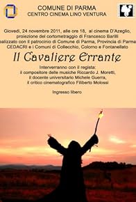 Primary photo for Il cavaliere errante