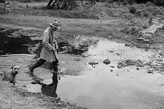 पोस्टर देखें