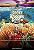 Primary photo for Great Barrier Reef Primary photo for Great Barrier Reef