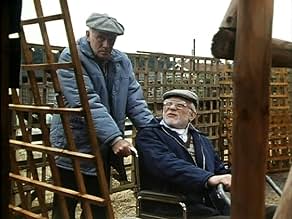 पोस्टर देखें