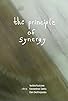 Primary photo for The Principle of Synergy Primary photo for The Principle of Synergy