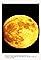 The Lunar Bees's primary photo