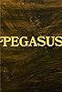Primary photo for Pegasus
