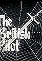 The British Pilot's primary photo
