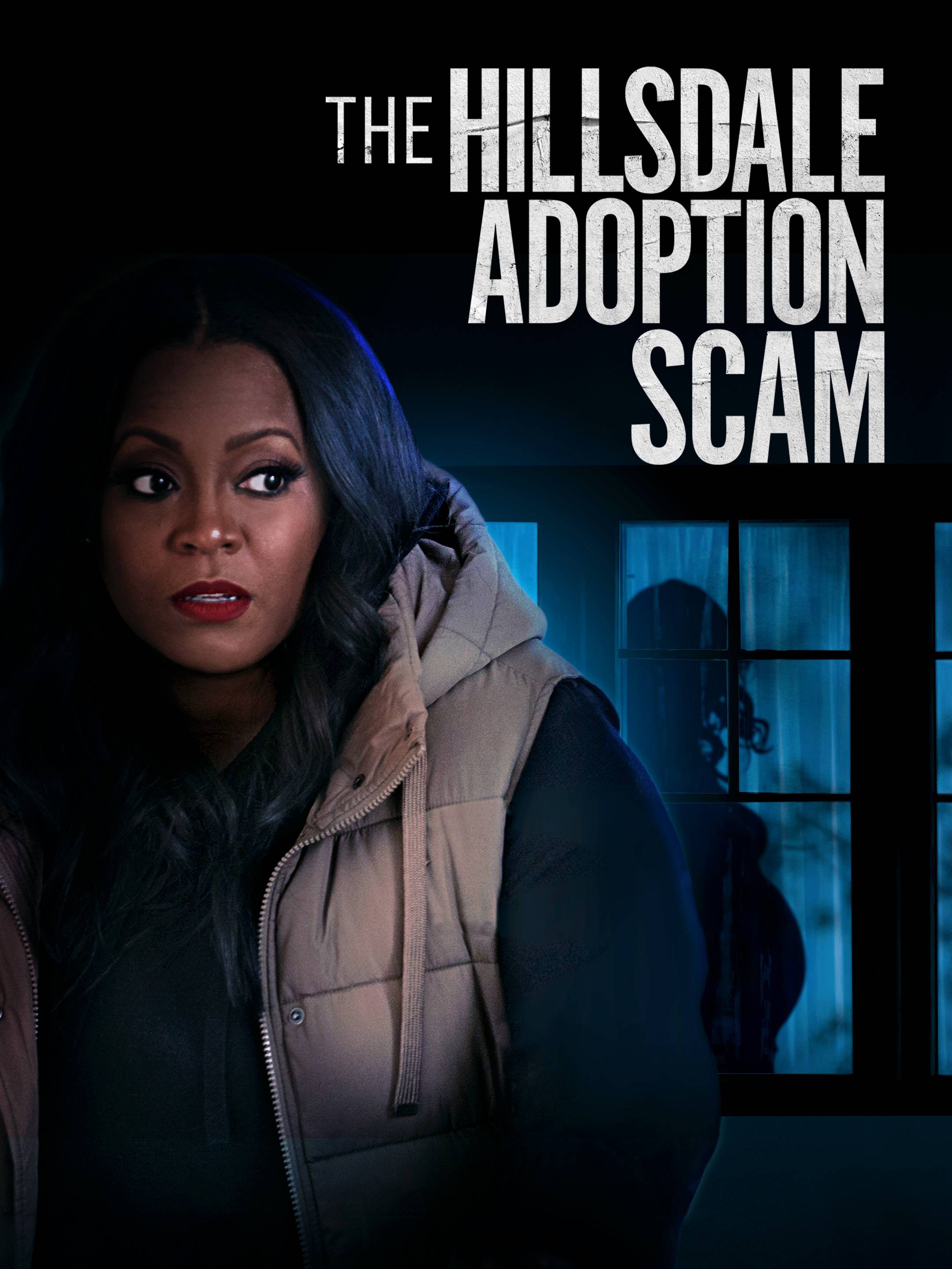 Poster of The Hillsdale Adoption Scam
