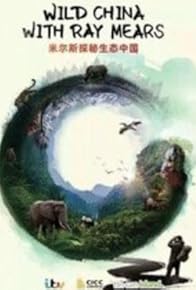 Primary photo for China's Brown Bears