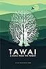 Primary photo for Tawai: A Voice from the Forest