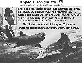 पोस्टर देखें