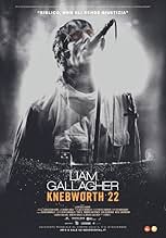 Liam Gallagher 2022年 Knebworth Live ポスター Liam Gallagher: Knebworth 22 (2022) - IMDb