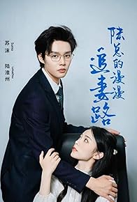 Primary photo for Mr. Lu's Long Road to Chasing His Wife