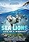 Sea Lions: Life by a Whisker's primary photo
