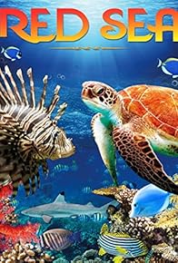 Primary photo for Red Sea 4K