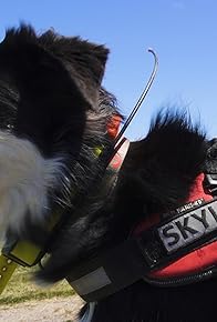 Primary photo for Skylos Ecology
