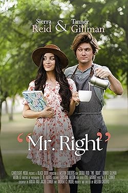 Poster of Mr. Right
