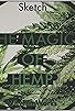 Primary photo for The MAgic of Hemp Primary photo for The MAgic of Hemp