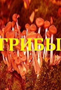 Primary photo for Mushrooms Primary photo for Mushrooms