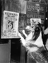 पोस्टर देखें