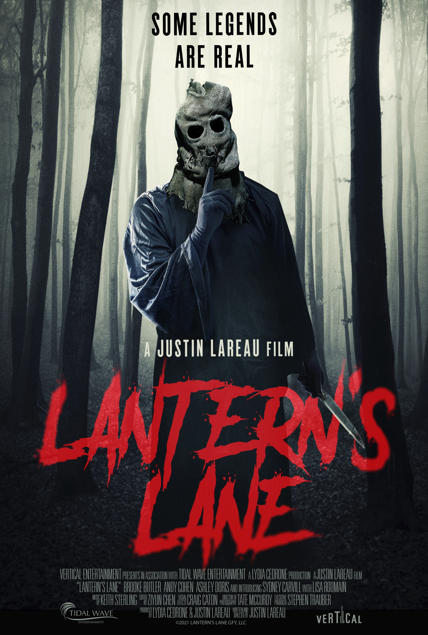 Poster of Lantern's Lane