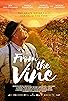 Primary photo for From the Vine