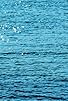 Primary photo for Water Primary photo for Water